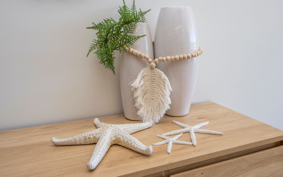 Decoration from the sea