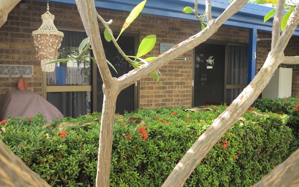 Magnetic Shores Unit 3