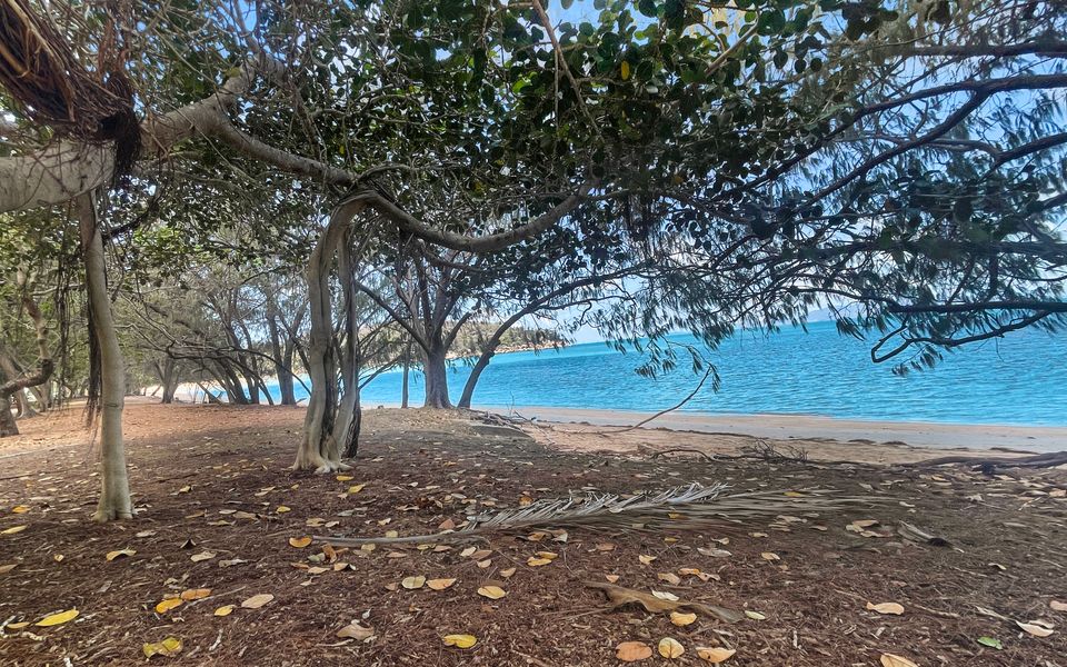 Arcadia Beach Unit 4