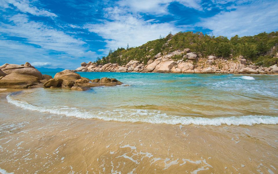 Magnetic Reef Unit 2