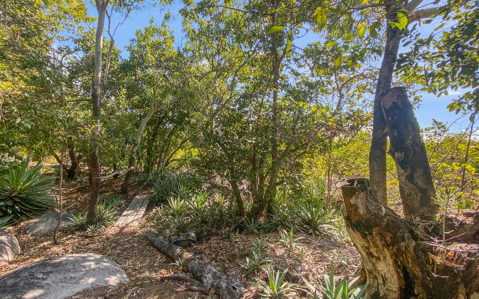 Absolute Beachfront Master