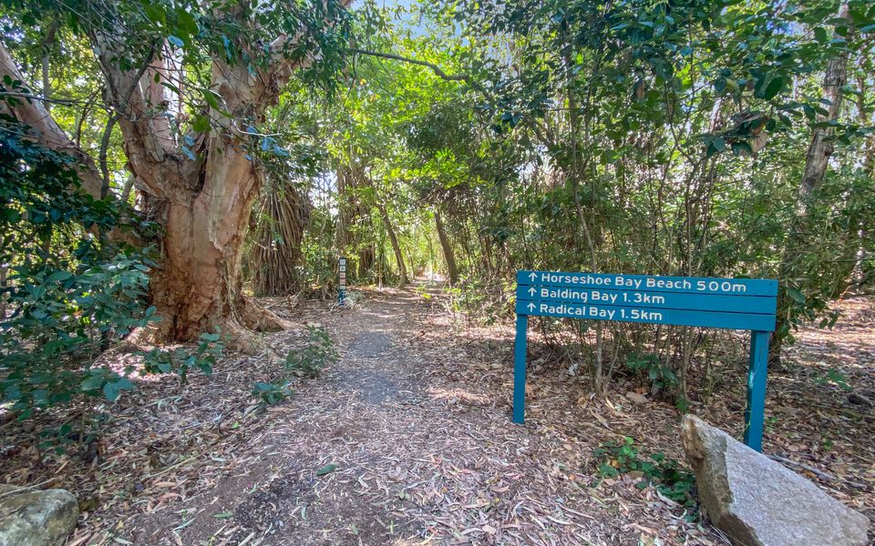 Absolute Beachfront and Pool House