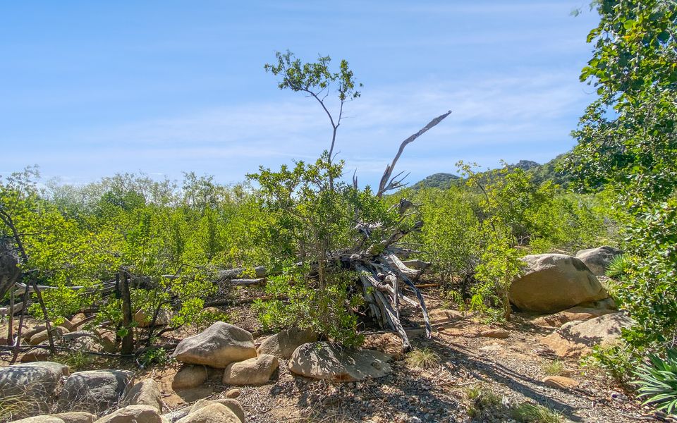 Absolute Beachfront and Pool House