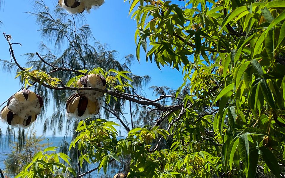 Blue on Blue Apartment 933