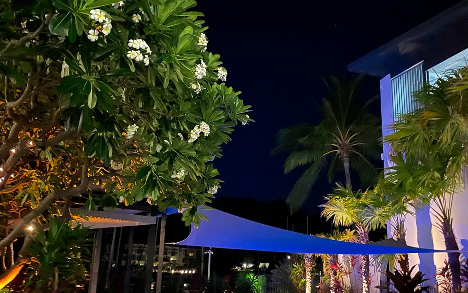 Blue on Blue Apartment 933