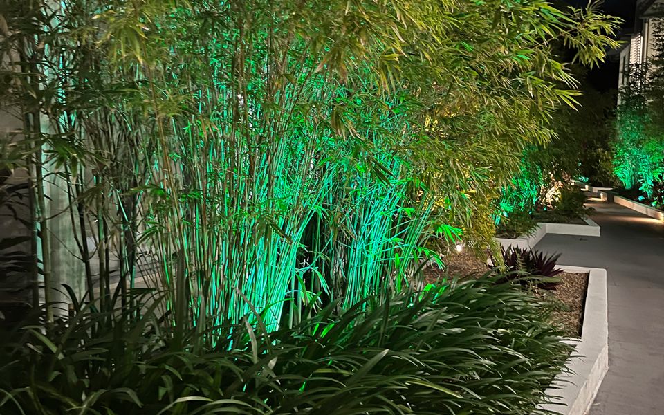 Blue on Blue Apartment 933