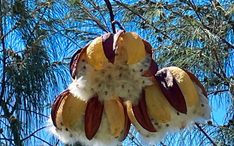 Blue on Blue Apartment 933