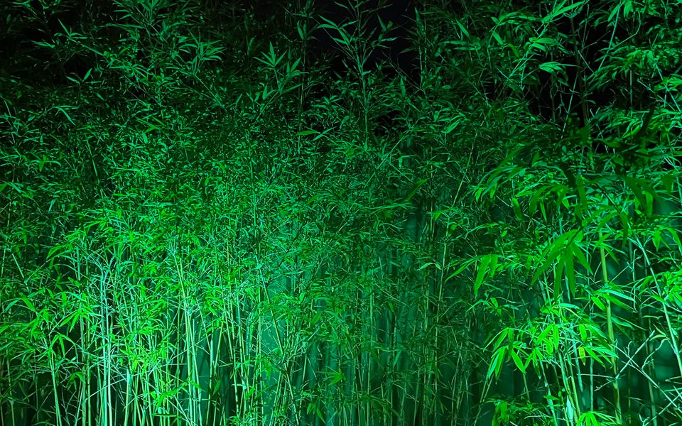 Blue on Blue Apartment 933