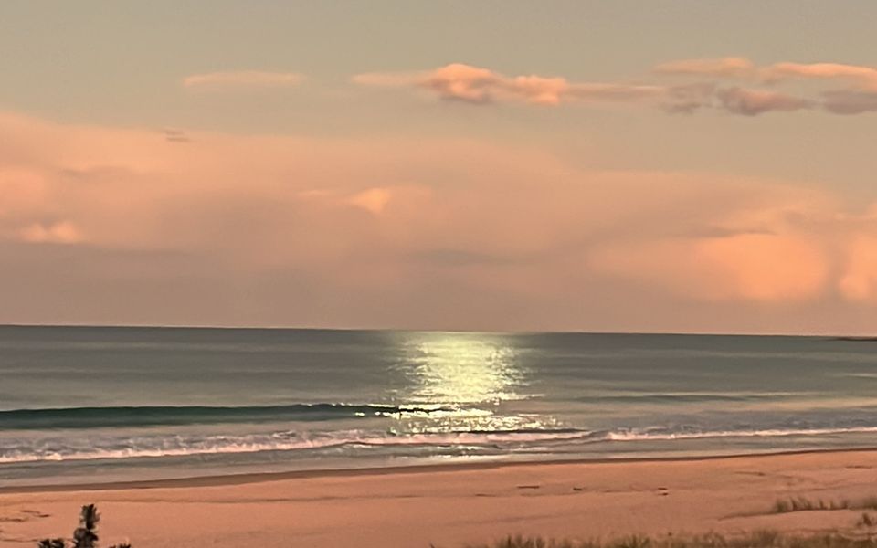 Beachfront Bliss – Absolute Beachfront Luxury Palm Beach – Linen Provided