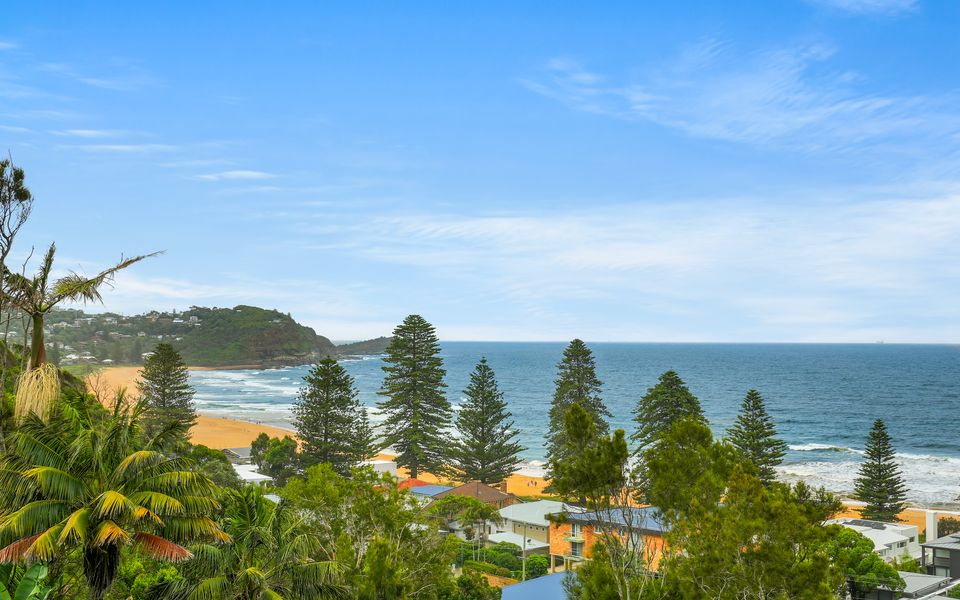 Avoca Views