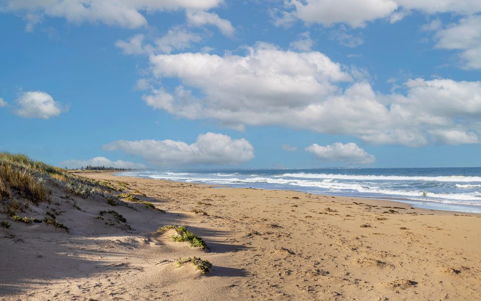 Golden Bay Beach Shack