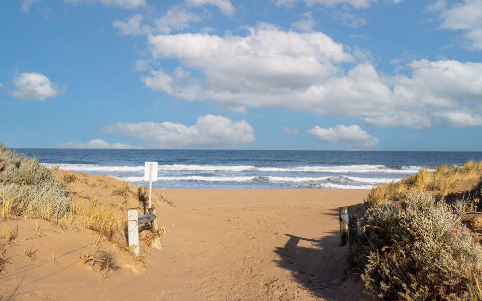 Golden Bay Beach Shack
