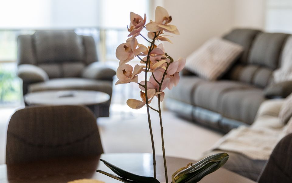 Serenity in Sunny Sawtell