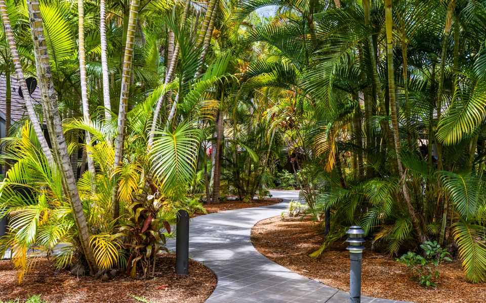 Tropical Spa Bure 19