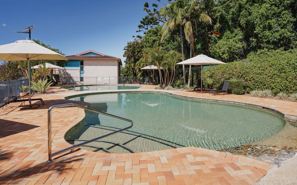 Shelly’s Misty Waves