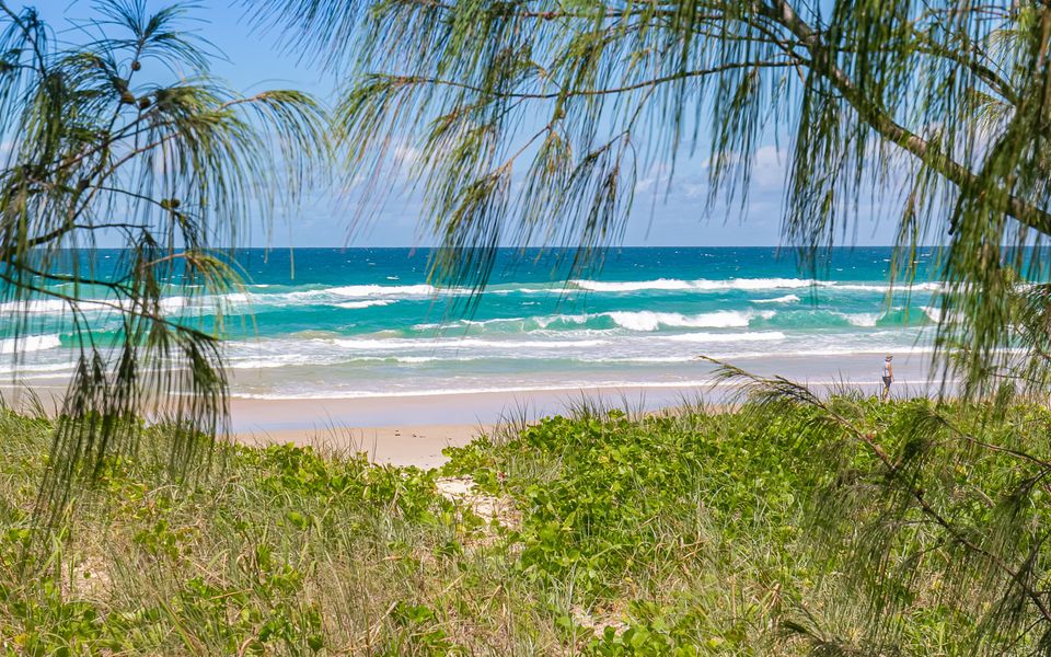 Dune Ten