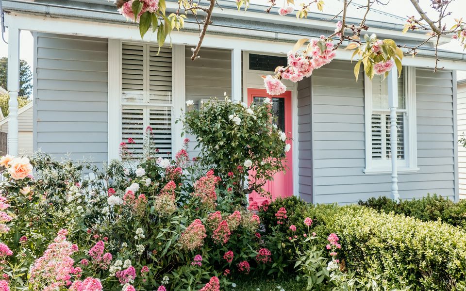 Wild Cherry on Wishart