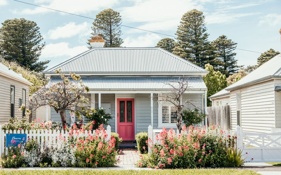 Wild Cherry on Wishart