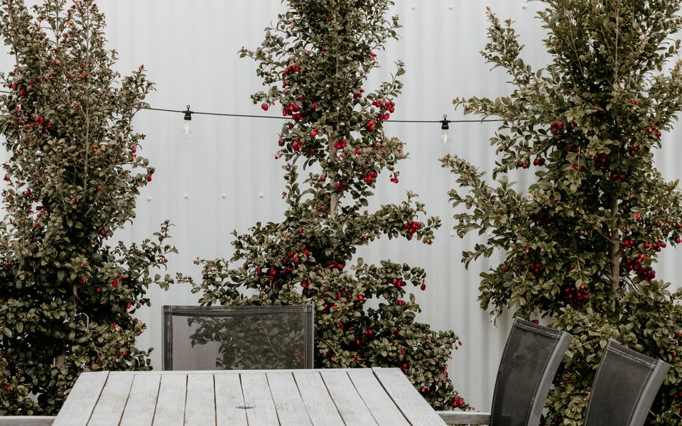 Sweet Tide O’Moyne