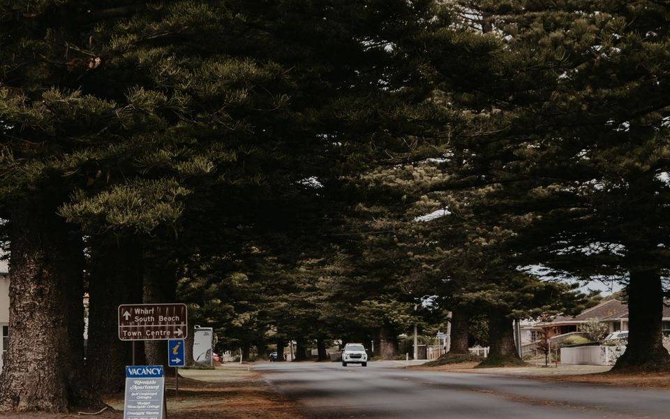 The Dog House Cottage