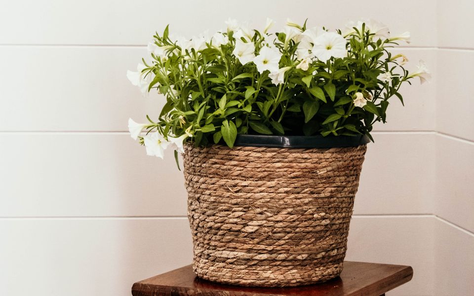 Candle Stick on Bank