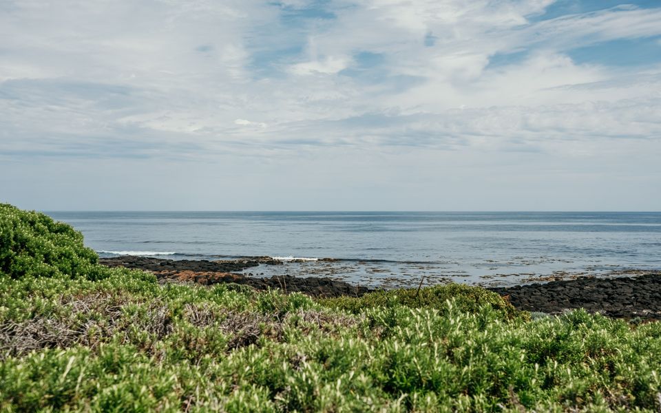 Hearns Beachside Villa 7