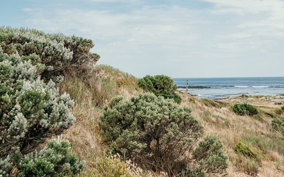 Hearns Beachside Villa 8