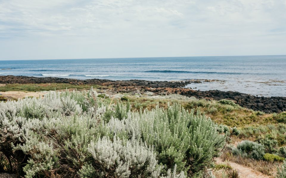 Hearns Beachside Villa 8