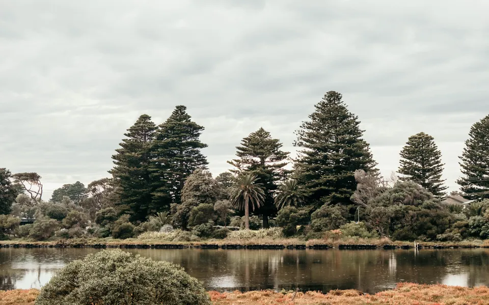 Moyne Views 2
