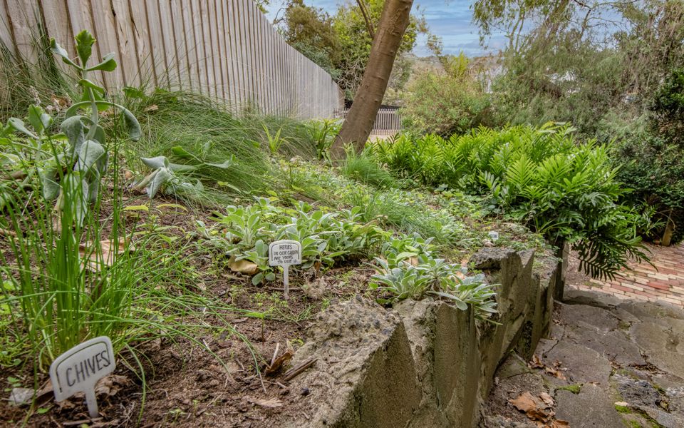 Herb gardens are yours to use