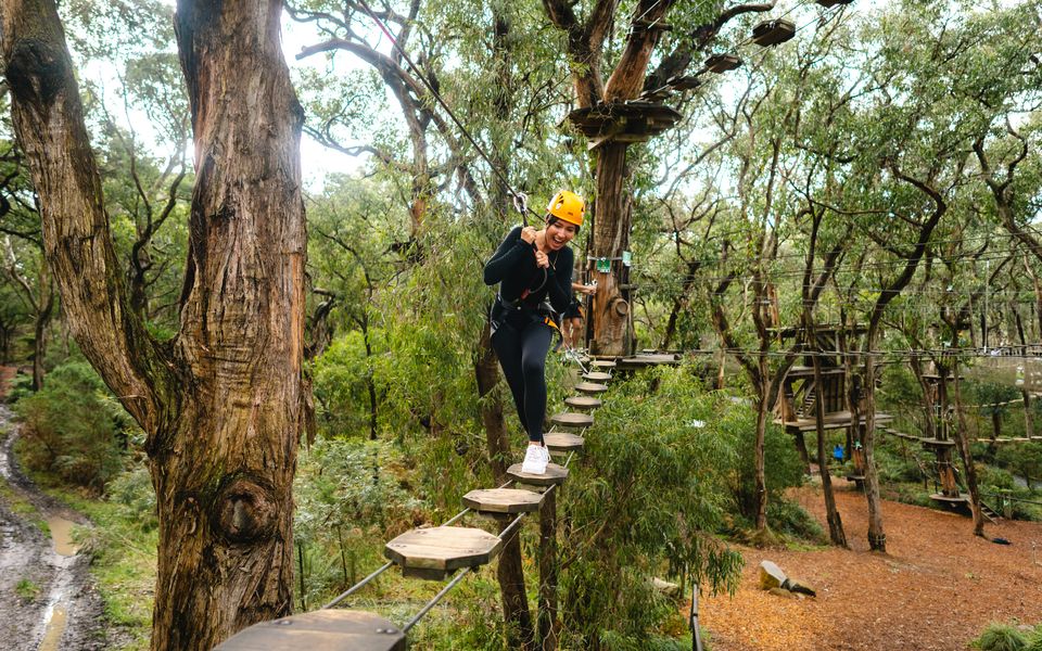 Enchanted Adventure in Arthurs Seat, photo: Ben Savage, courtesy of Visit Victoria