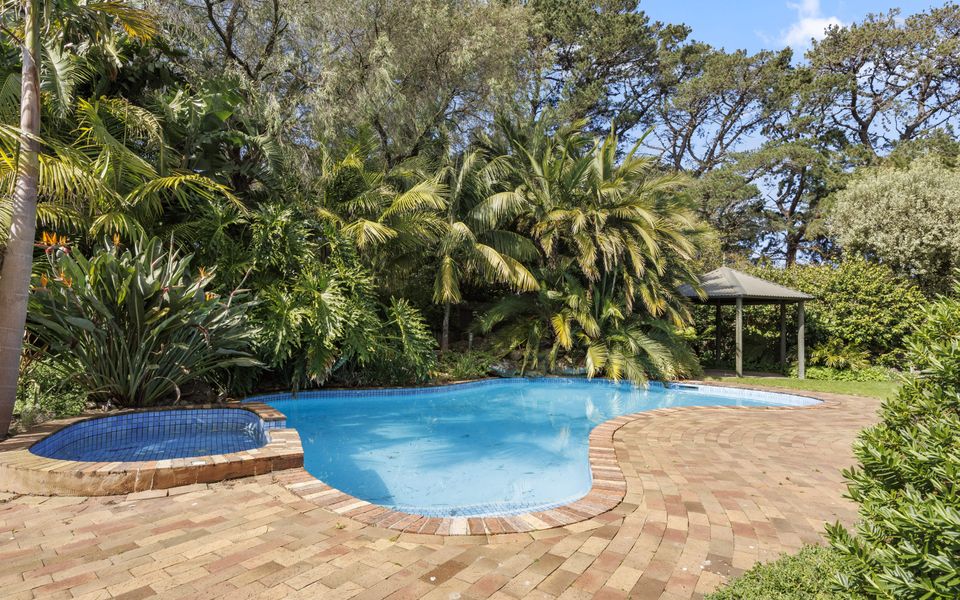 Poolside Palms Oasis