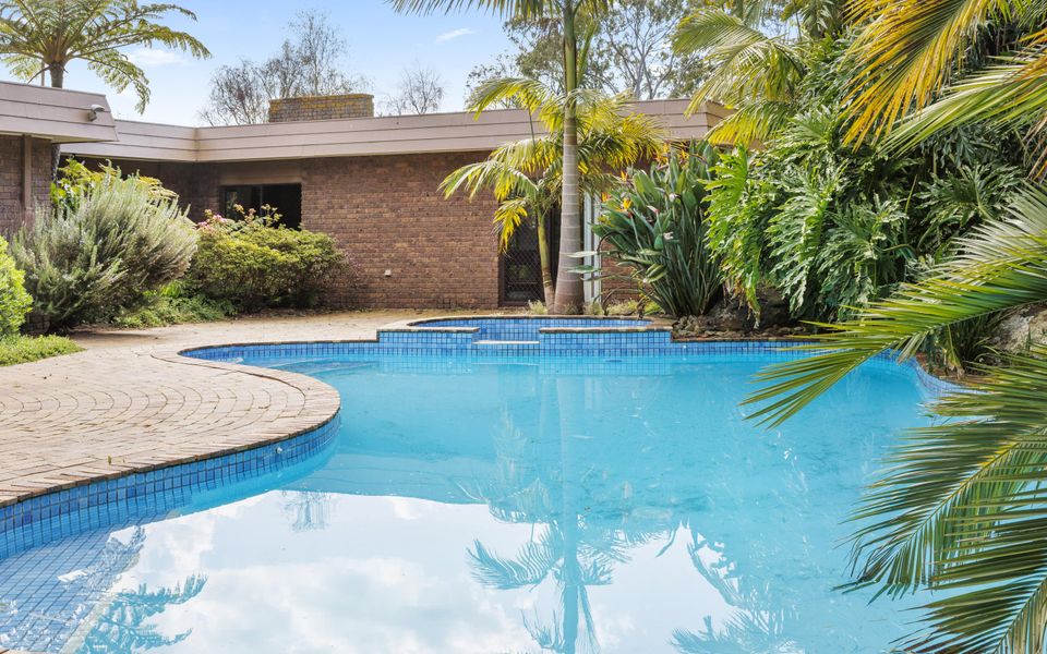 Poolside Palms Oasis