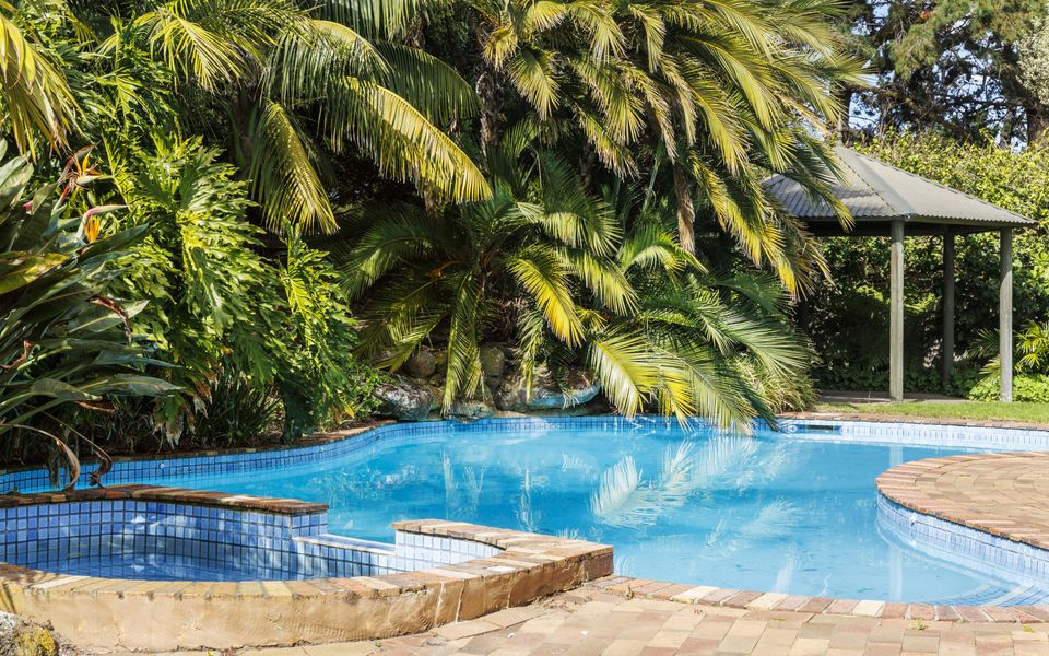 Poolside Palms Oasis