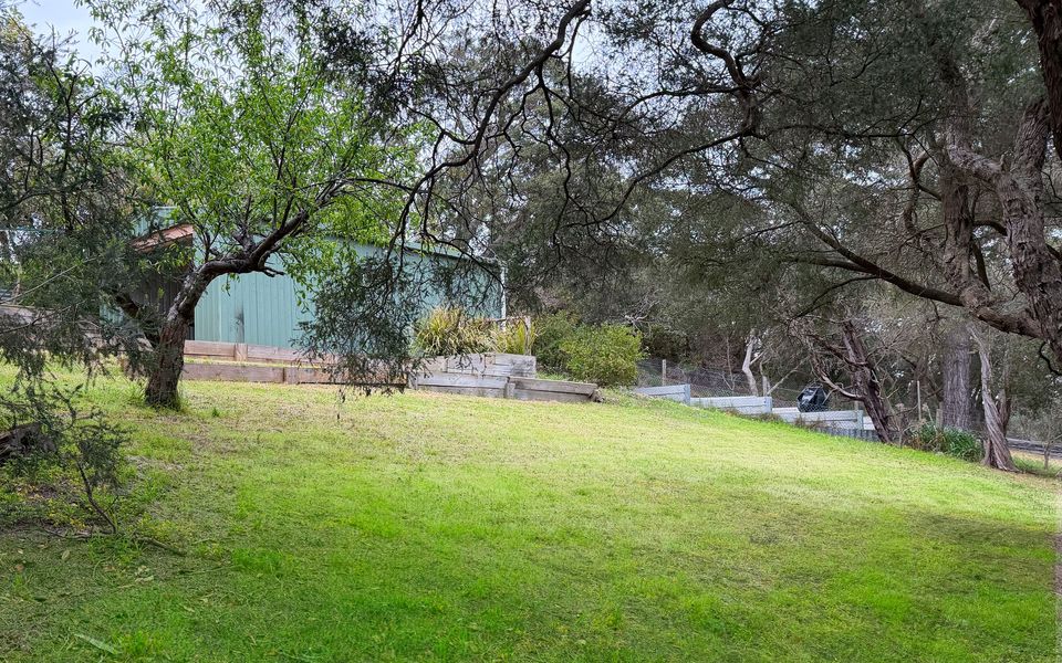 A spacious backyard, ideal for family fun and outdoor activities.