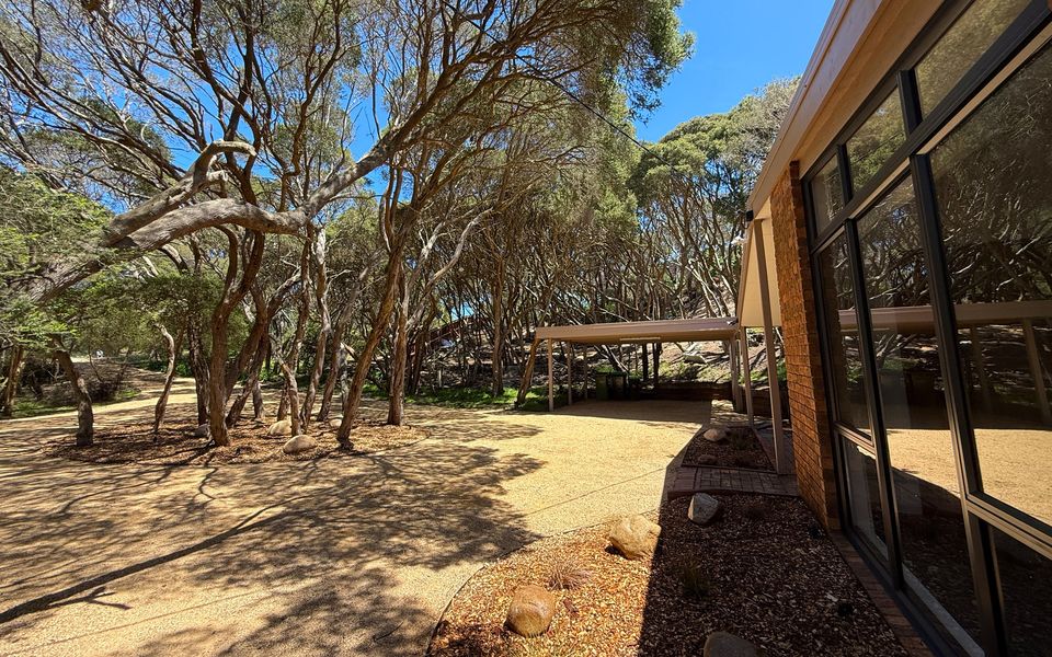 Double carport and plenty of car parking in the circular driveway.