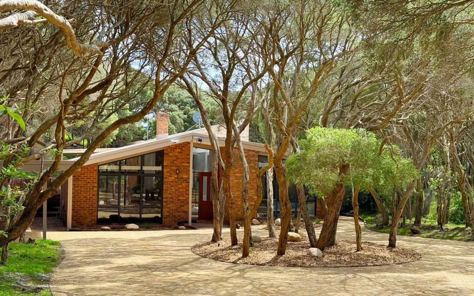 Moonah Ocean set in native woodland, close to the back beach coastline