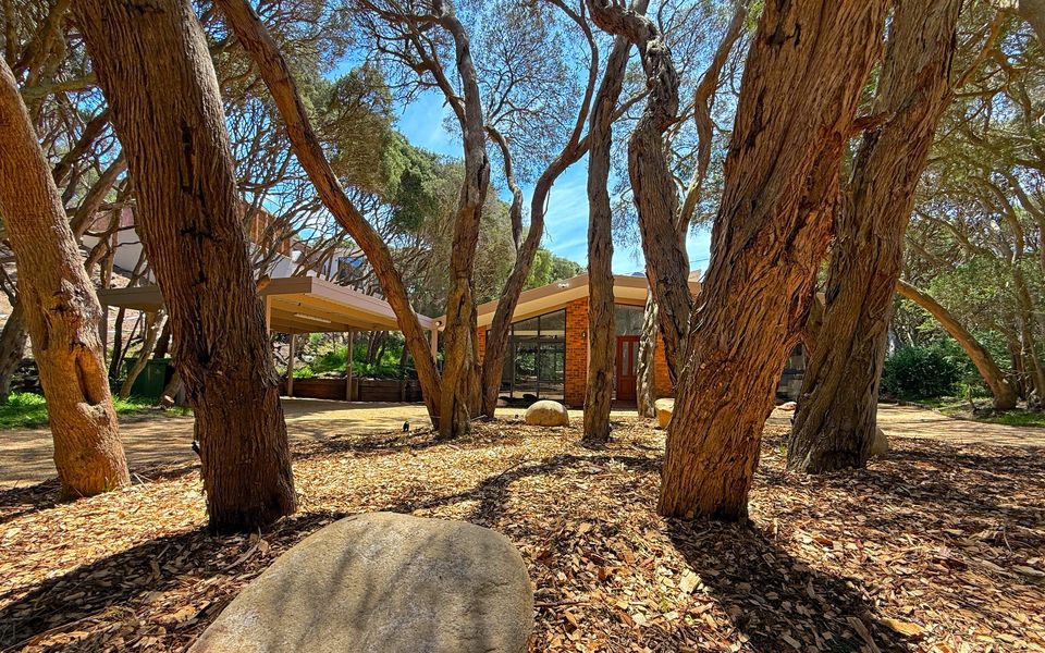 Mature moonah trees surround the home, adding a tranquil, natural setting