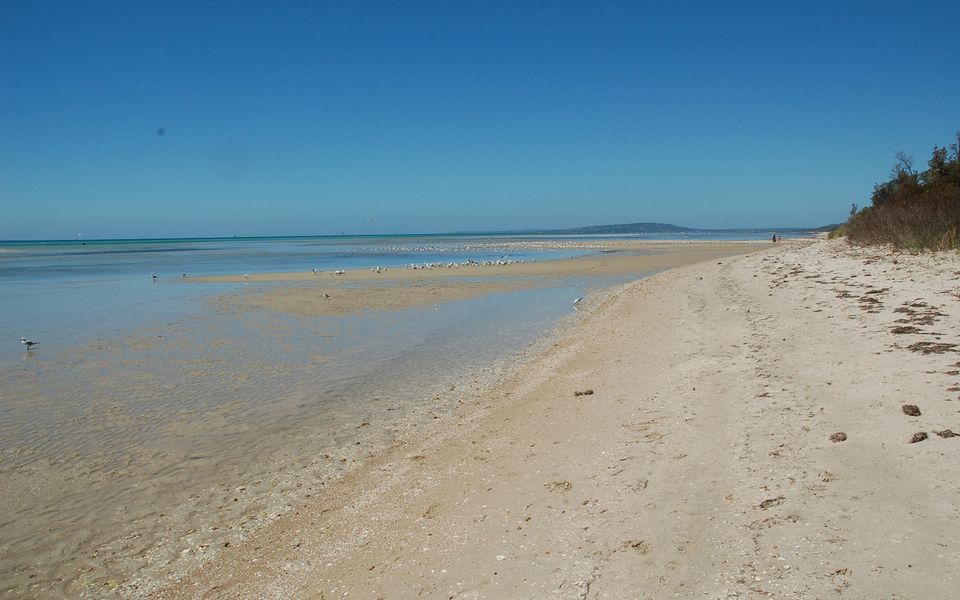 Just a short stroll to Tootgarook Beach
