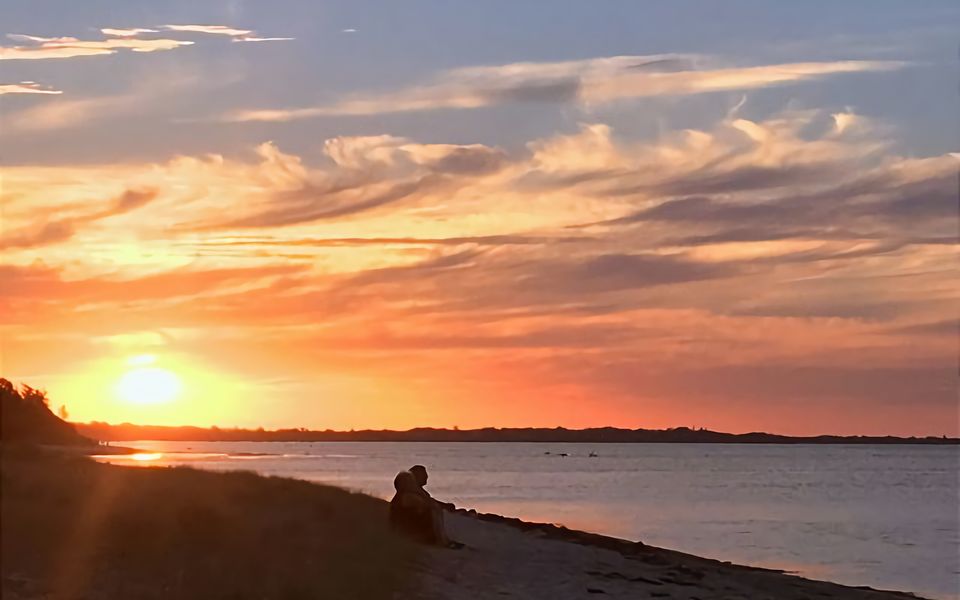 Oasis on Grange peaceful and stylish