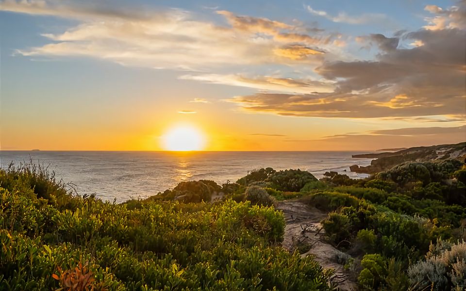 Coastal Harmony Peaceful Retreat