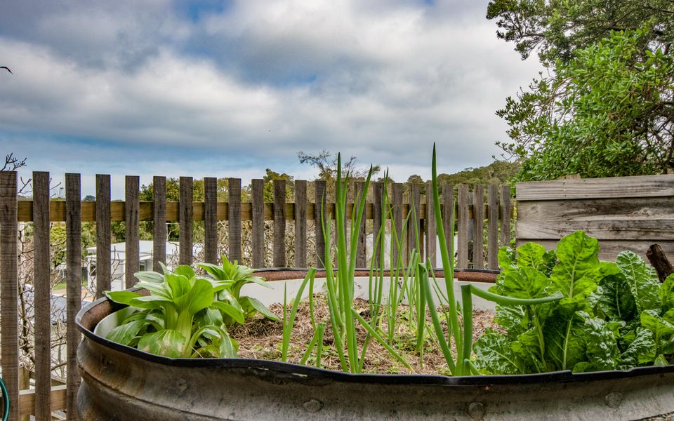 Tawny Rest, Coastal Beach House In Rye