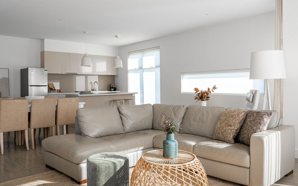 Modern open plan living, dining and kitchen