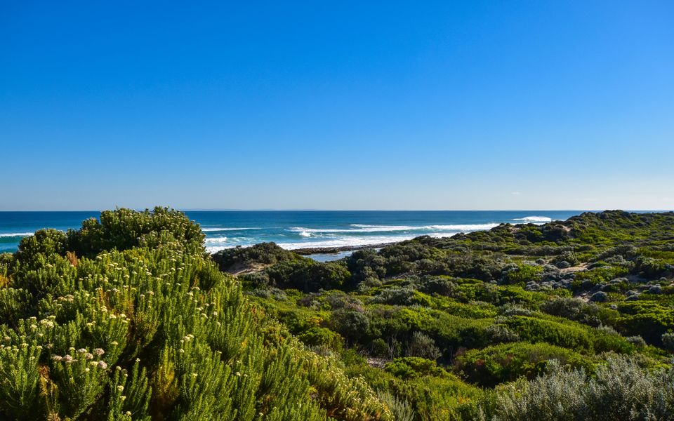 Sand Sea & Sunsets St Andrews Beach