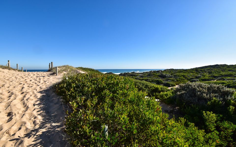 Sand Sea & Sunsets St Andrews Beach