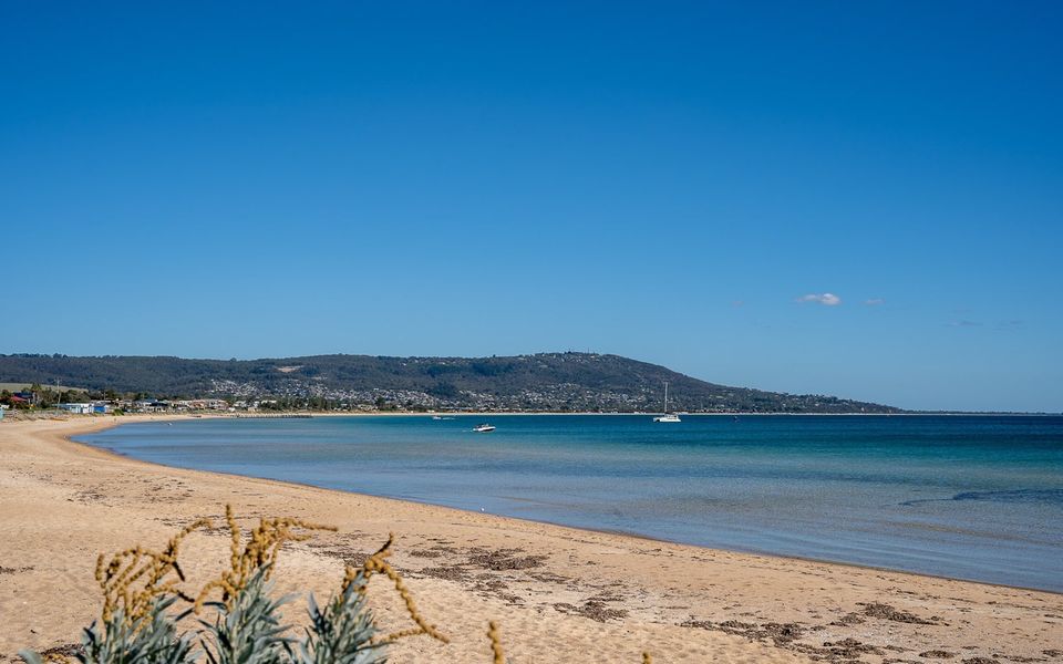 Monte Carlo @ Martha’s Cove