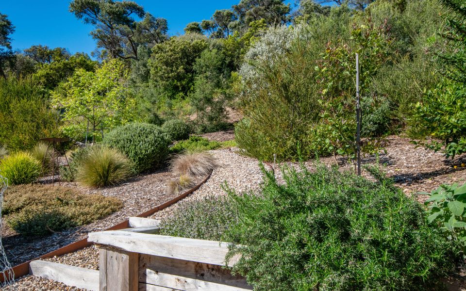Seaside Sanctuary on St Andrews Beach