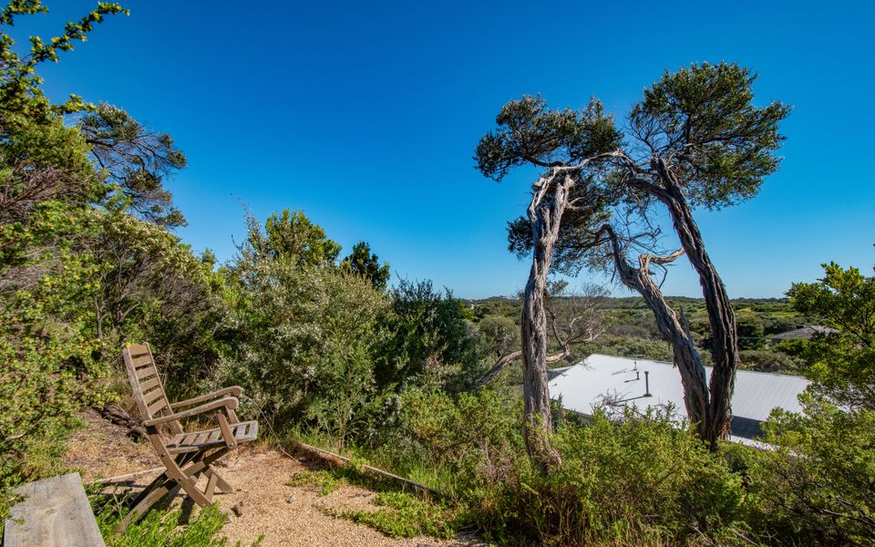 Seaside Sanctuary on St Andrews Beach