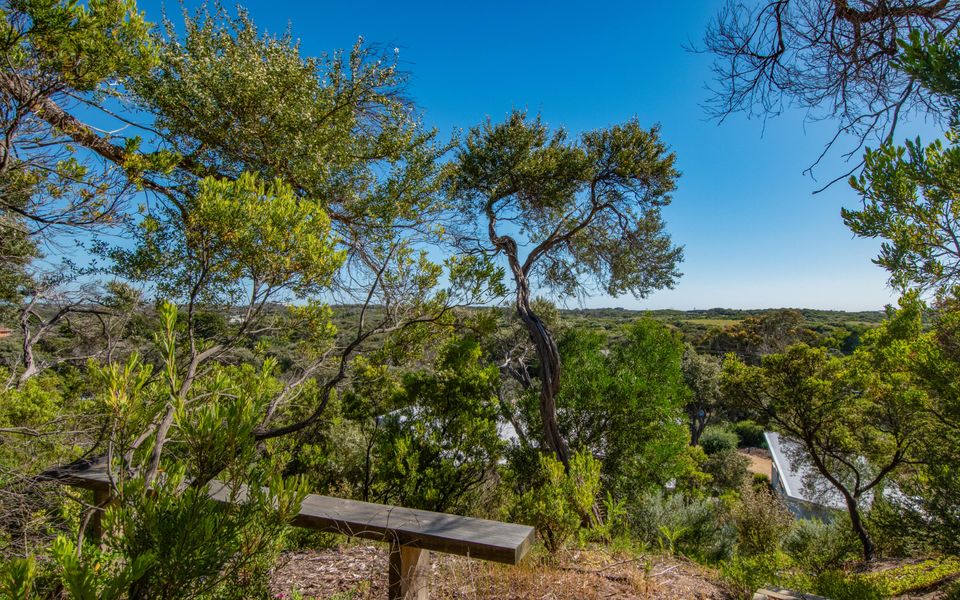 Seaside Sanctuary on St Andrews Beach