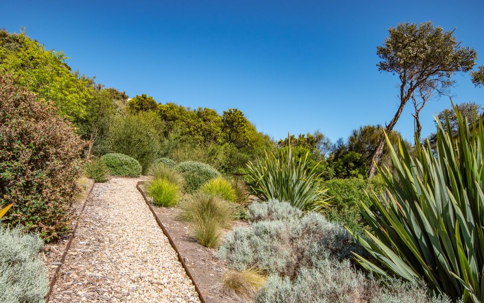 Seaside Sanctuary on St Andrews Beach